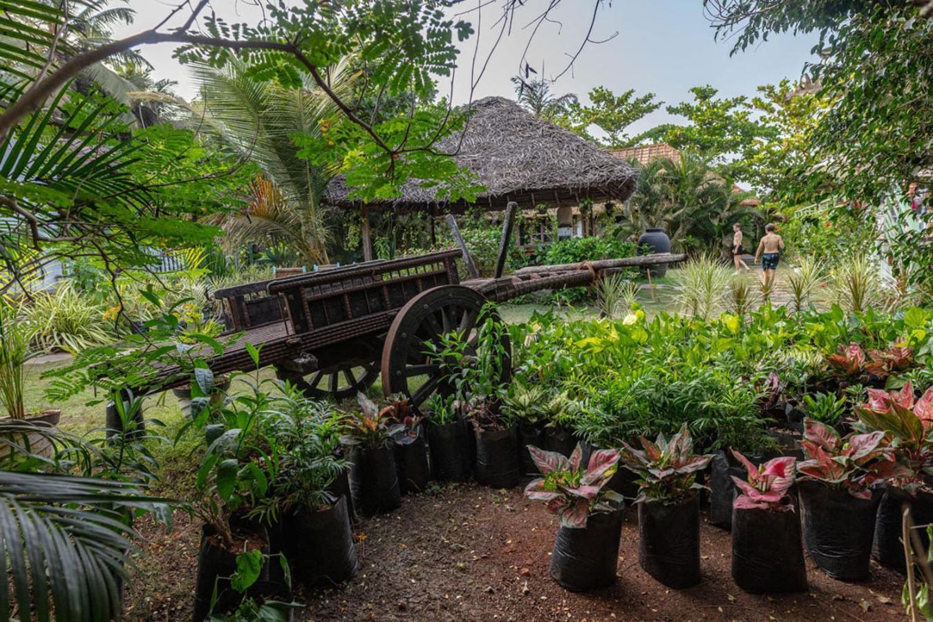 Akasa Goa Hotel Bãi biển Bãi biển Palolem Ngoại thất bức ảnh